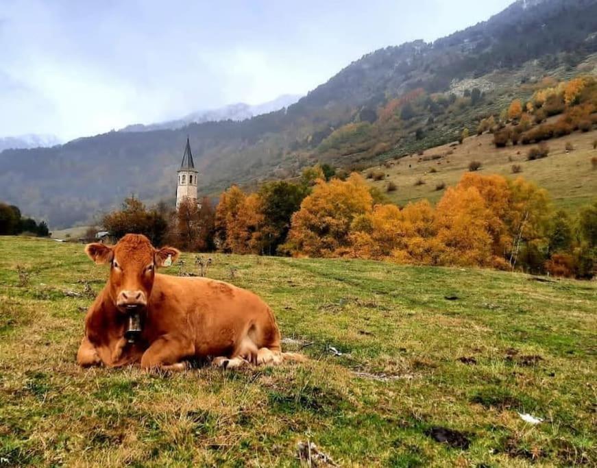 Mcastet, Casita Aranesa En El Valle De Aran Боссост Экстерьер фото